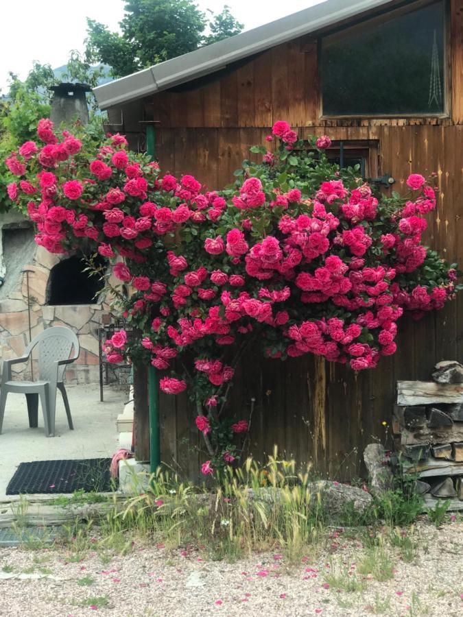Le Love Chalet Des Alpes Guillestre Exteriör bild